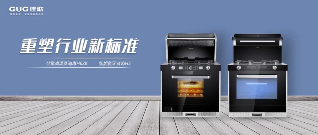 佳歌品牌代言人佟麗婭榮獲“微博年度之星”！